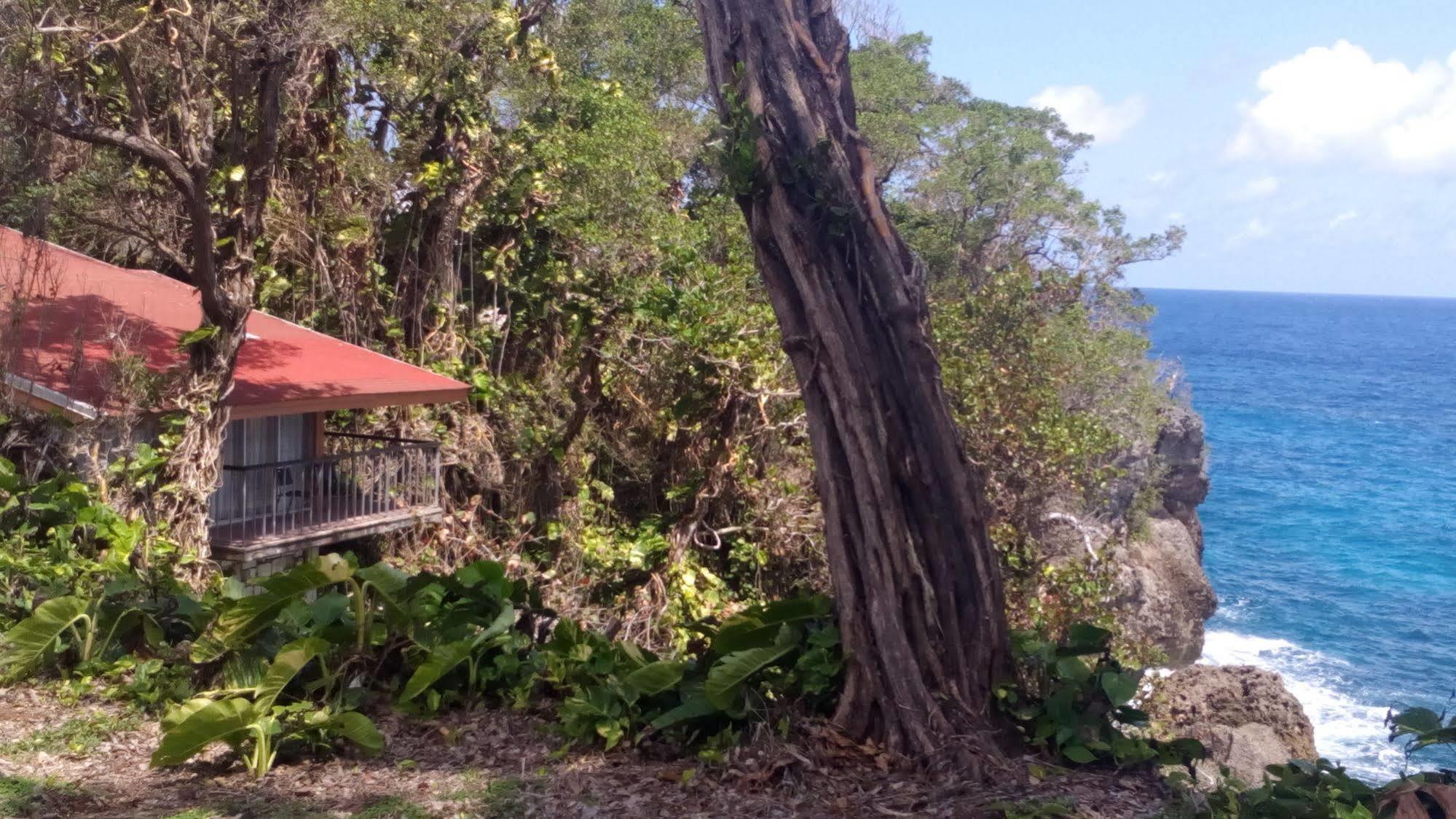 Frenchman'S Cove Hotel Port Antonio Exterior photo
